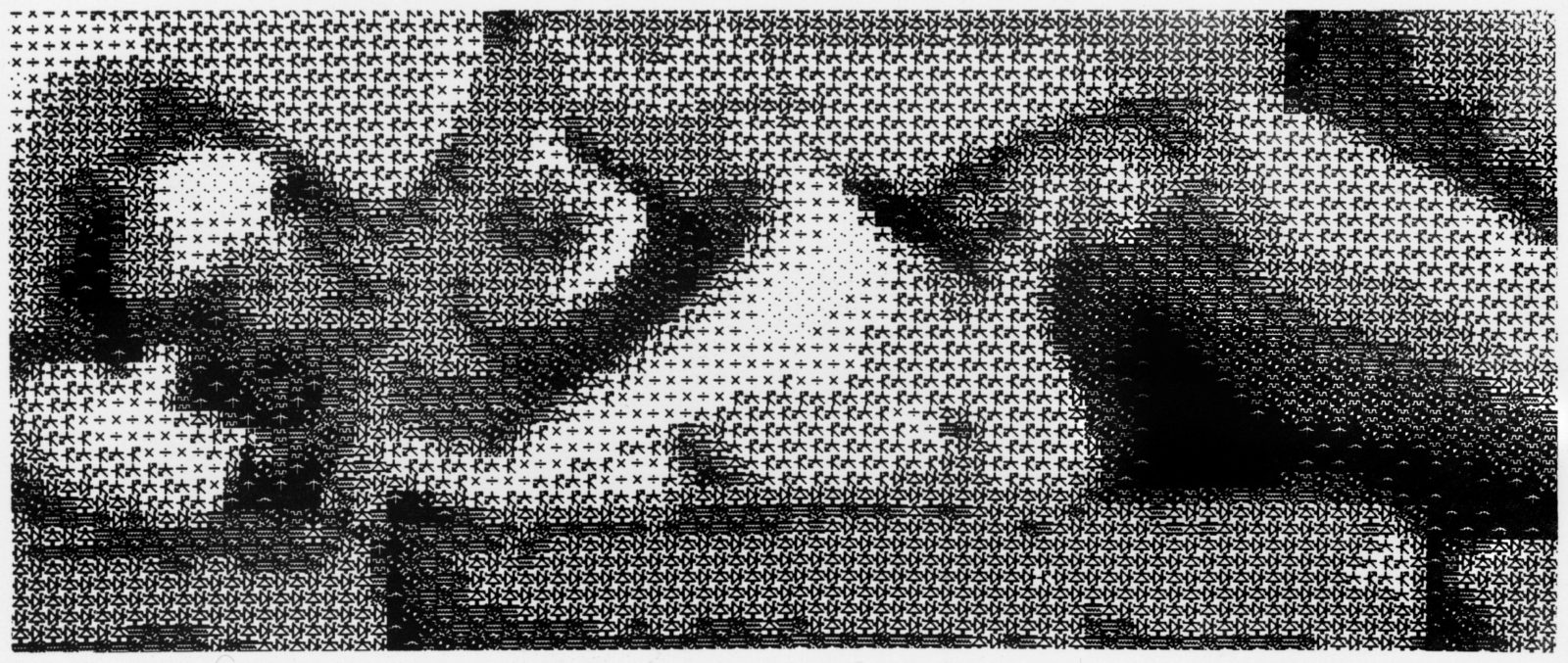 A nude photograph was reconstituted through a programming language using bitmap symbols.