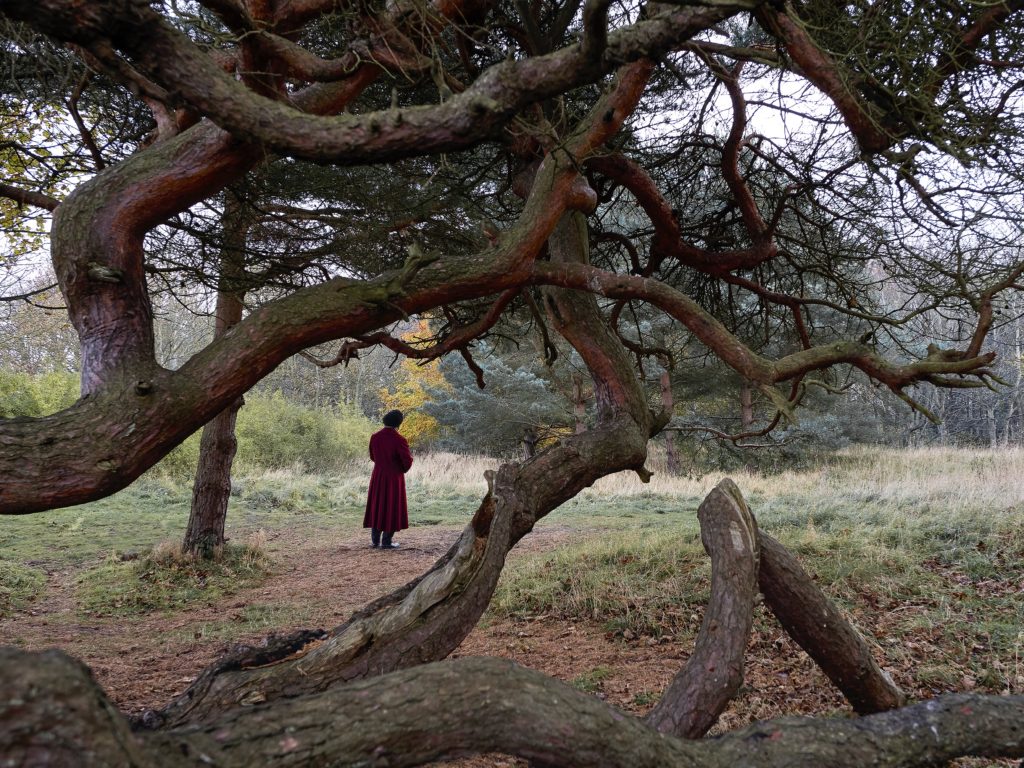 A video still depicting a woman in a red dress standing in a grove of trees.